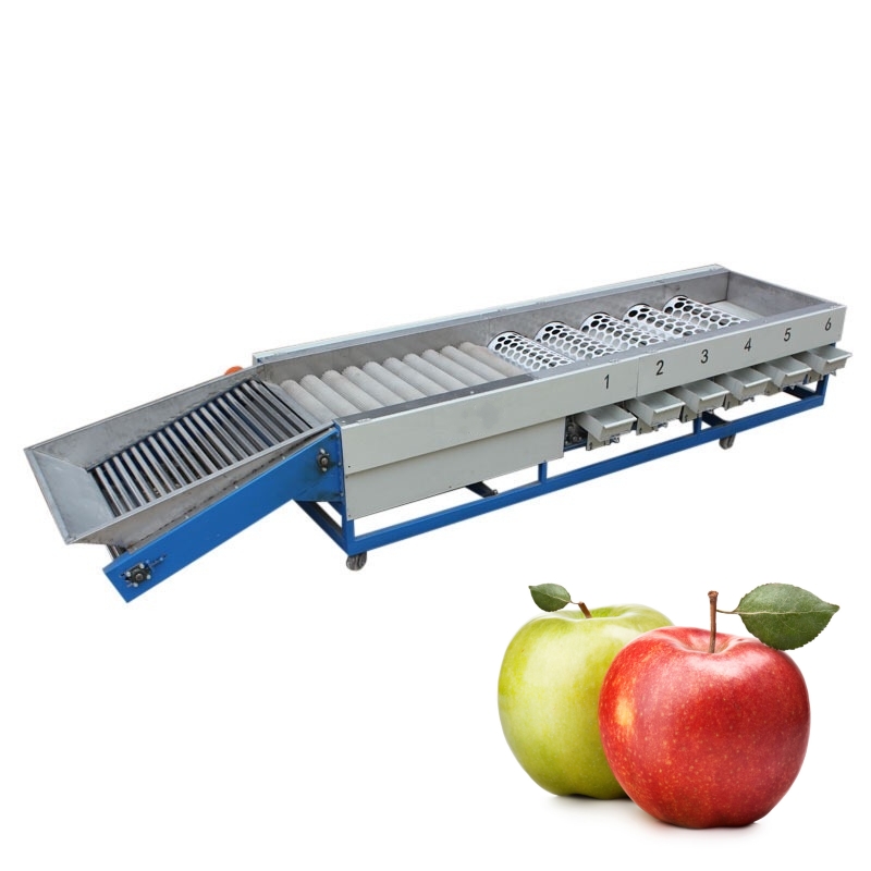 Factory fruit apple size sorting machine