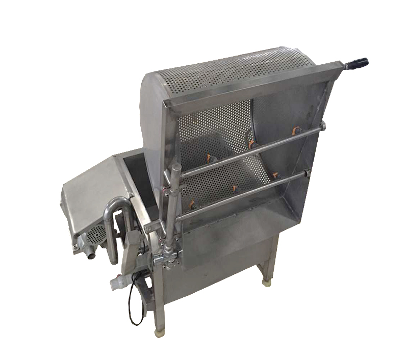 Small vegetable fruit washer lemon oranges air bubble washing machine