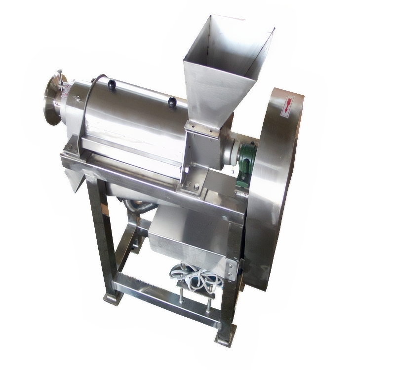 Professional commercial carrot juicer machine electric