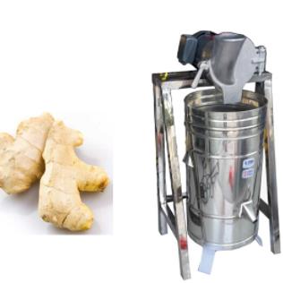 Professional ginger juicer machine for sale
