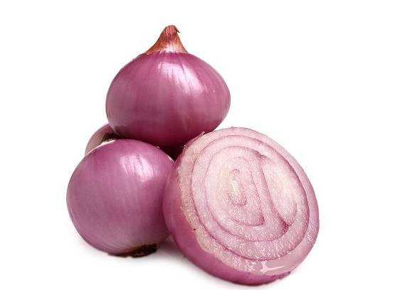 onion1.png
