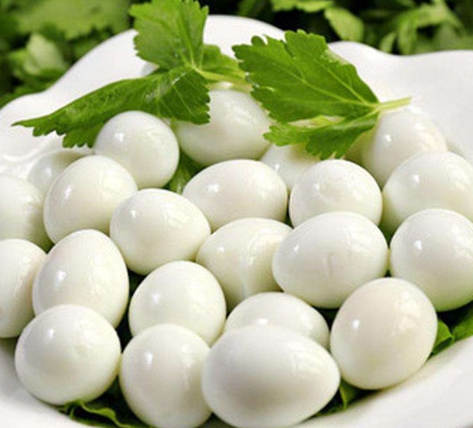 quail egg.JPG quail egg.JPG