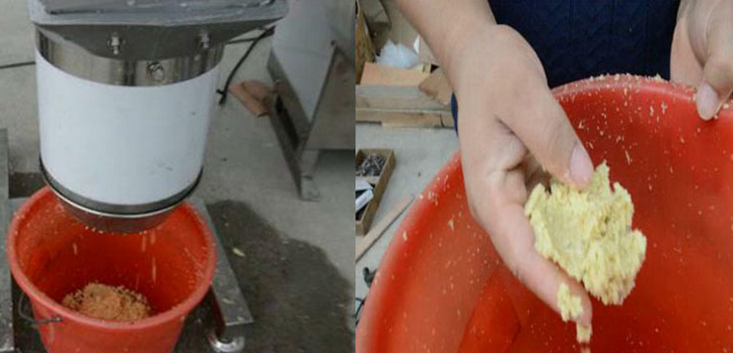 garlic paste machine (2).png