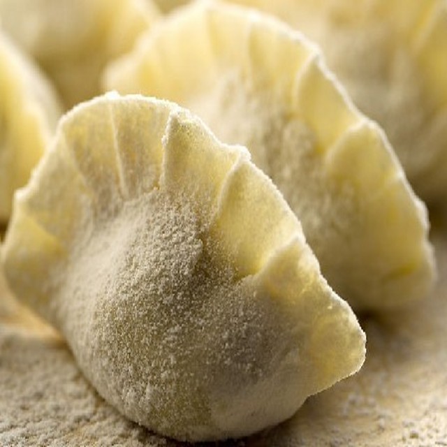 dumpling maker