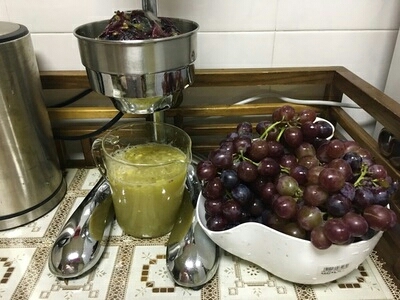 Manual orange juicer machine sale to Korea