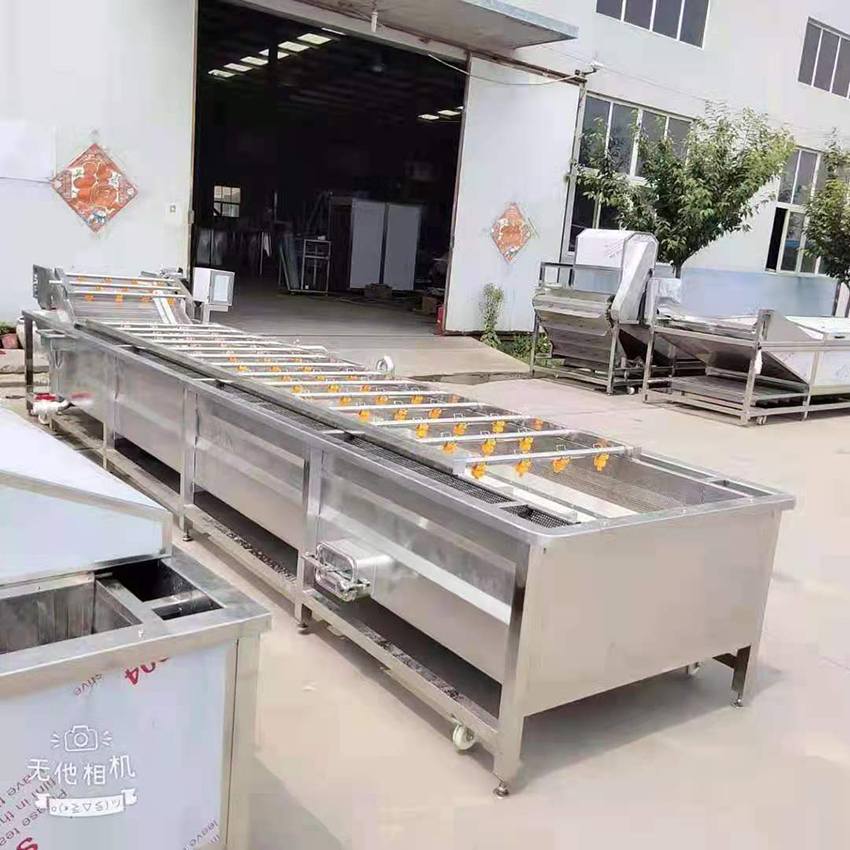 Introduction about air bubble fruit vegetable cleaning machine