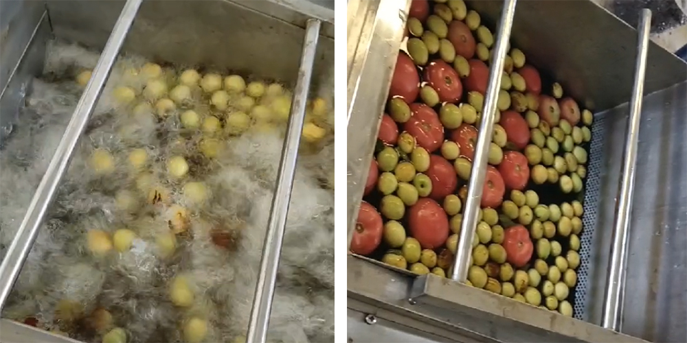 1754291234612867.jpg 网站3.jpg