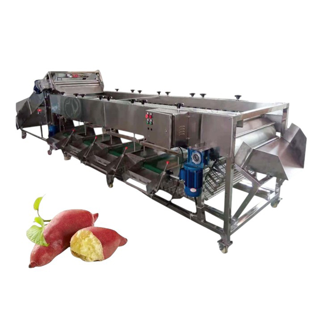 Roller Type Fruit Sorting Machine